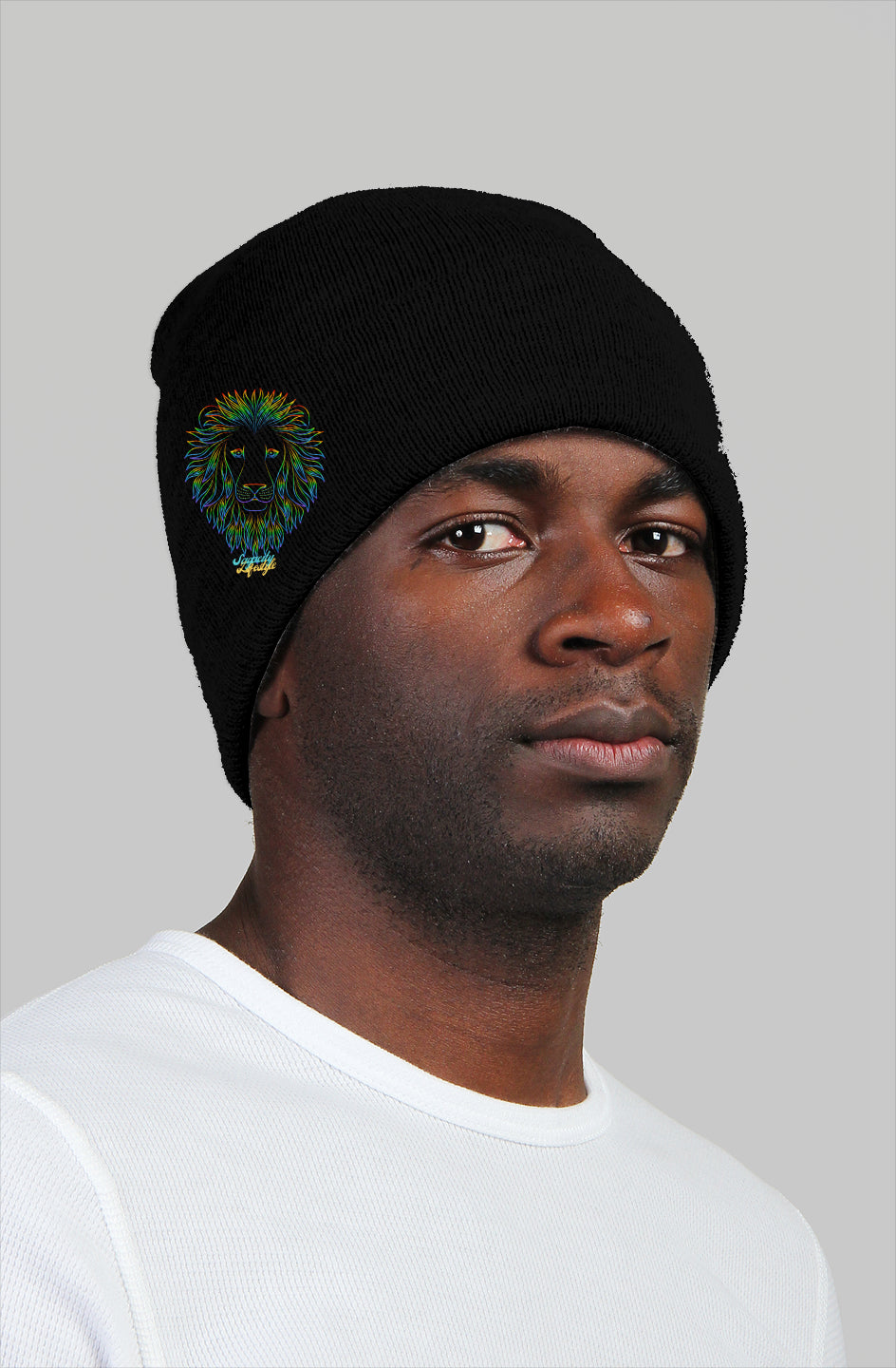 Sagacity Triple Logo Beanie W23